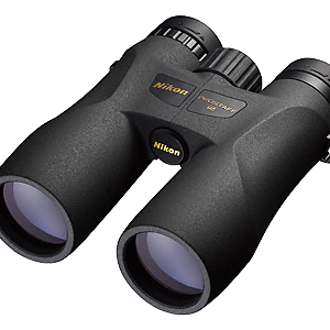 Nikon Binoculars Prostaff 5 8x42 | Teleskopshop.ch